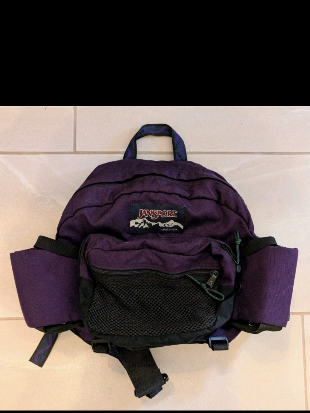 Jansport 1990's Lumbar Hiking Pack